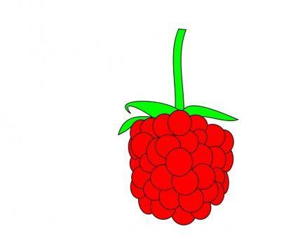 Simple raspberry