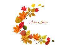 Flowing autumn leaves frame