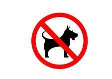 No dog sign