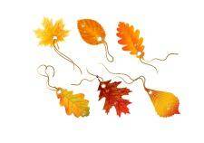 Autumnal discount. vector fall leaves