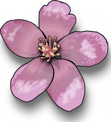 Apple Blossom clip art
