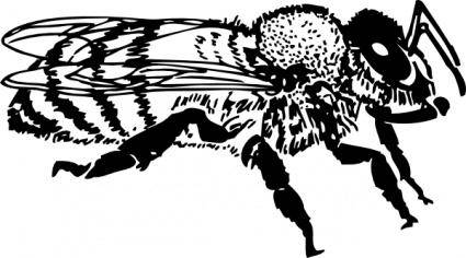 Honey Bee clip art