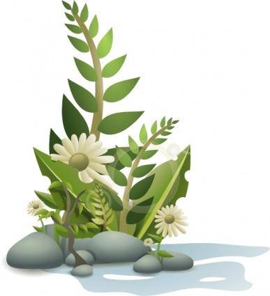 Andy Plants Pebbles And Flowers clip art