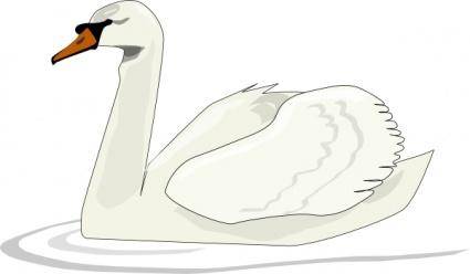 Swan Swimming clip art