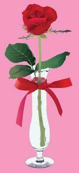 Rose on vase with ribbon