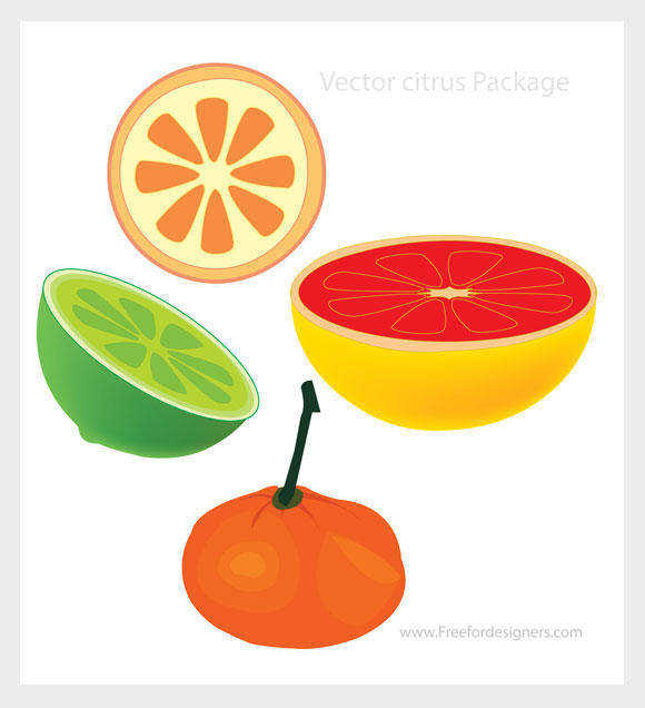 Vector Citrus Package