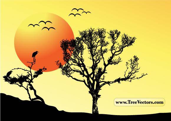 Sunset Vector Tree Background