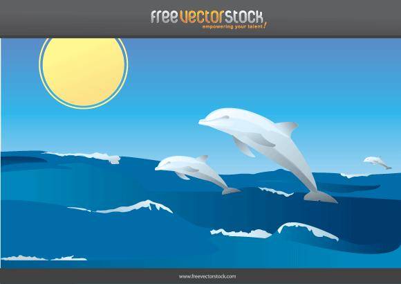 Vector Dolphins