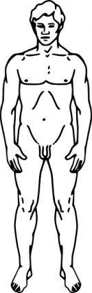 Line Drawing Of A Human Male clip art