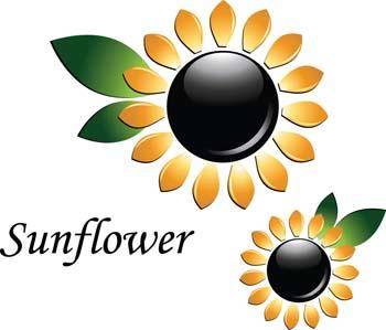 3d sun flower vector, flower vector ai, 3d vector ai illustrator, adobe illustrator photoshop 3d vector design, sun flower ai illustrator