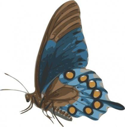Butterfly Papilio Philenor Side clip art
