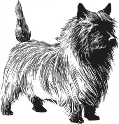 Cairn Terrier clip art
