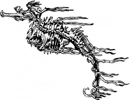 Seahorse Skeleton clip art
