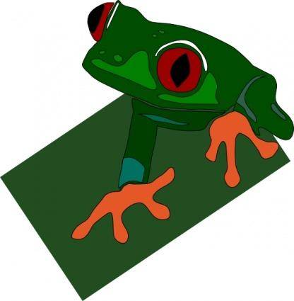 Red-eye Frog clip art