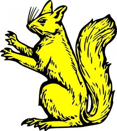 Squirrel  clip art