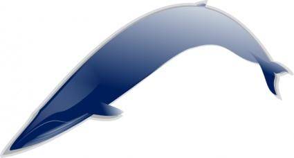 Bluewhale Md clip art