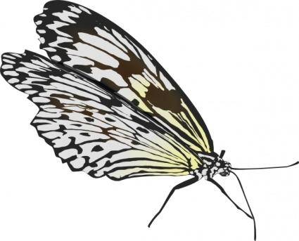 Glombool Butterfly clip art