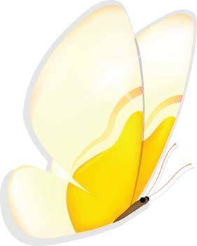 Butterfly Vector 33