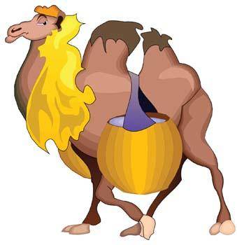 Camel Vector 10
