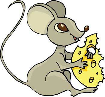 Mouse Vector 21