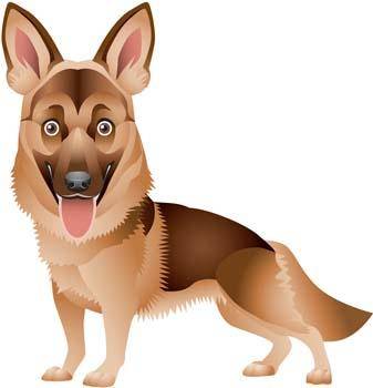 Dog vector collections 3