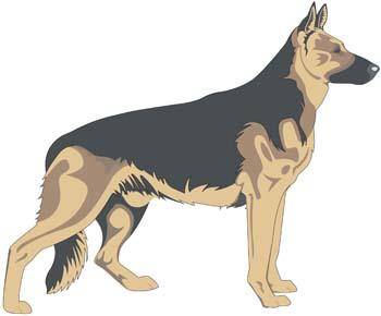 Dog vector collections 2